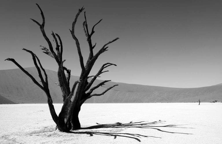 Why marketing campaigns fail… and what to do about it